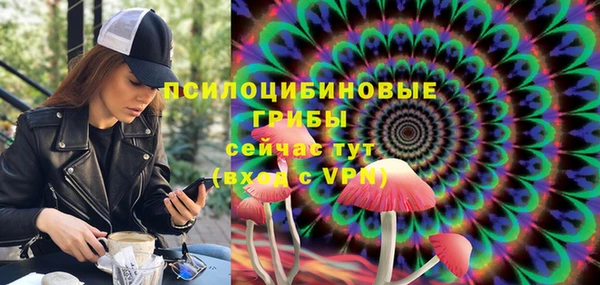 ПСИЛОЦИБИНОВЫЕ ГРИБЫ Медвежьегорск
