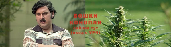 MESCALINE Мегион