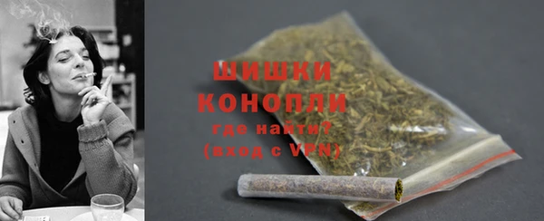ПСИЛОЦИБИНОВЫЕ ГРИБЫ Медвежьегорск