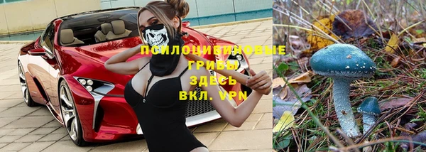 apvp Апатиты