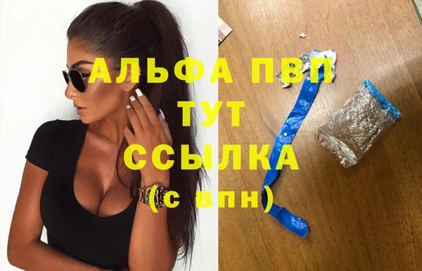ПСИЛОЦИБИНОВЫЕ ГРИБЫ Медвежьегорск