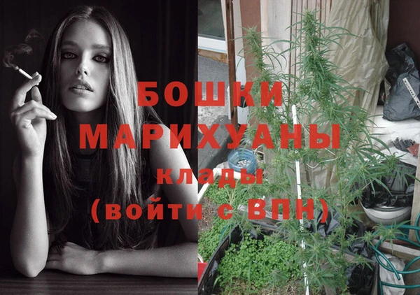 ПСИЛОЦИБИНОВЫЕ ГРИБЫ Медвежьегорск
