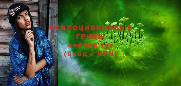 ПСИЛОЦИБИНОВЫЕ ГРИБЫ Медвежьегорск