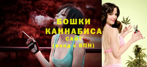 ПСИЛОЦИБИНОВЫЕ ГРИБЫ Медвежьегорск
