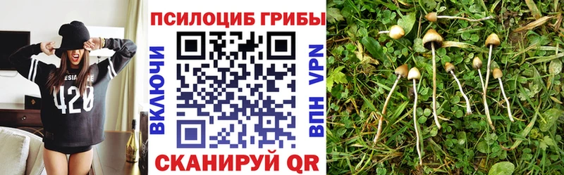 Псилоцибиновые грибы GOLDEN TEACHER Харабали
